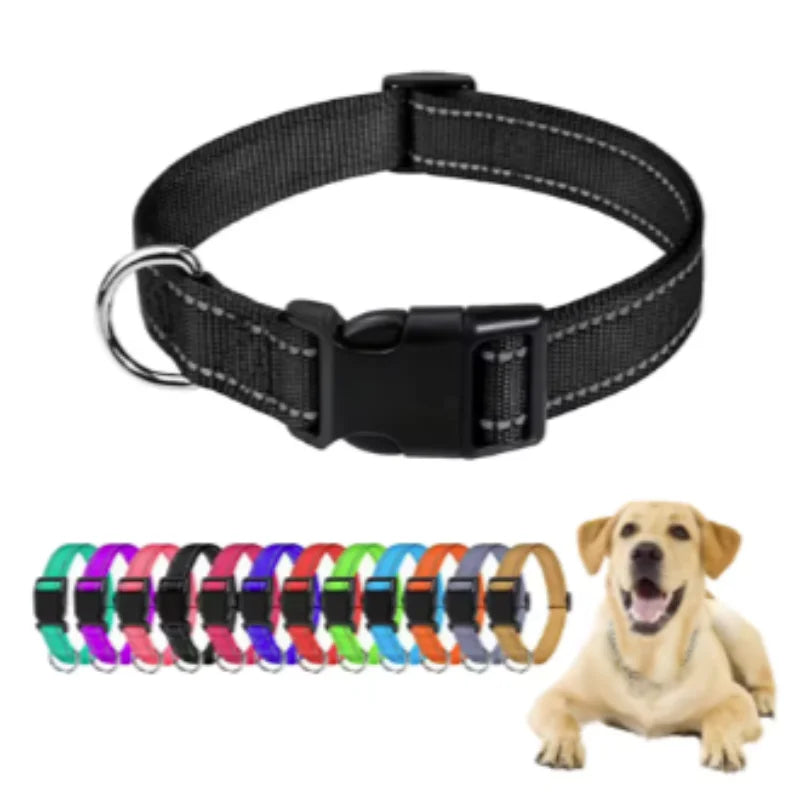 Collar Básico