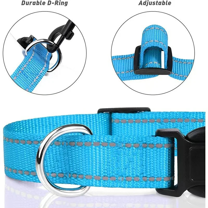 Collar Básico