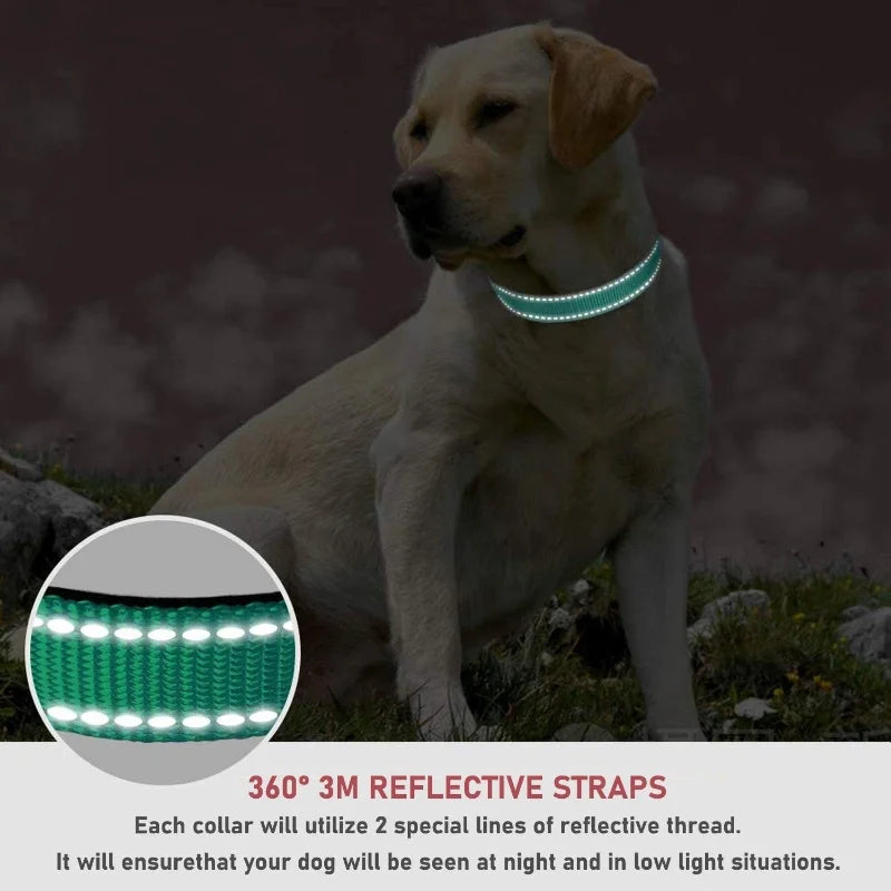 Collar Básico