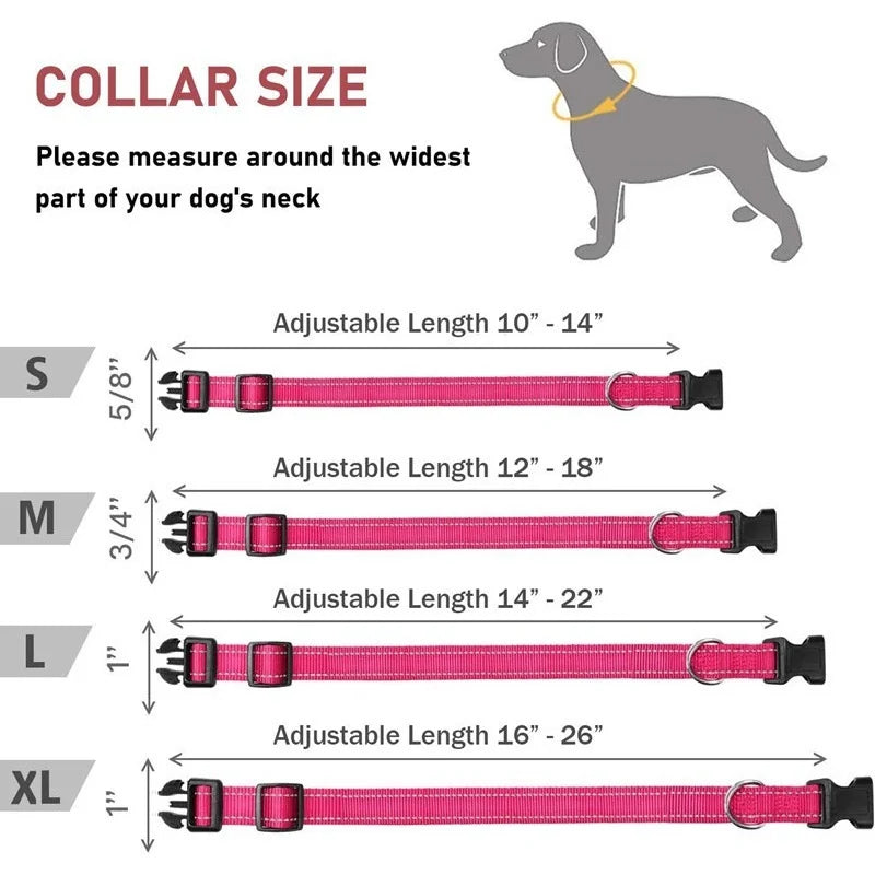 Collar Básico