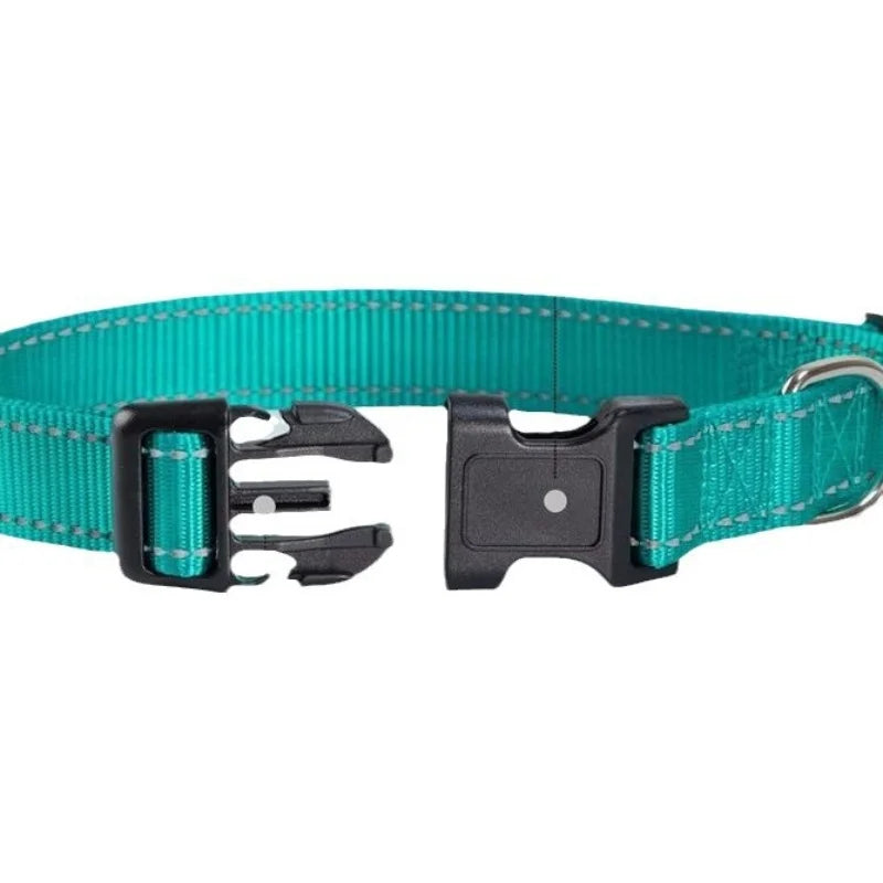 Collar Básico