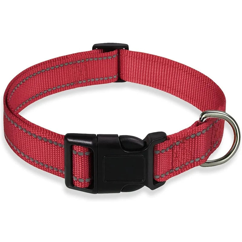 Collar Básico