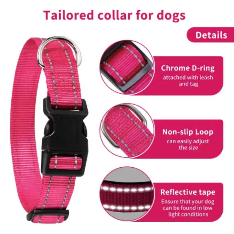 Collar Básico
