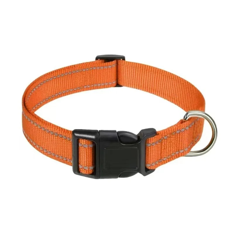 Collar Básico