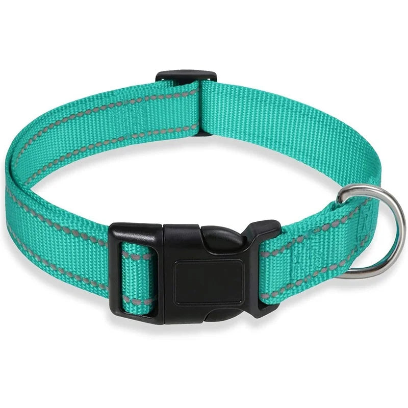 Collar Básico